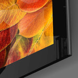 Autumn Leaves Glass Wall Art.