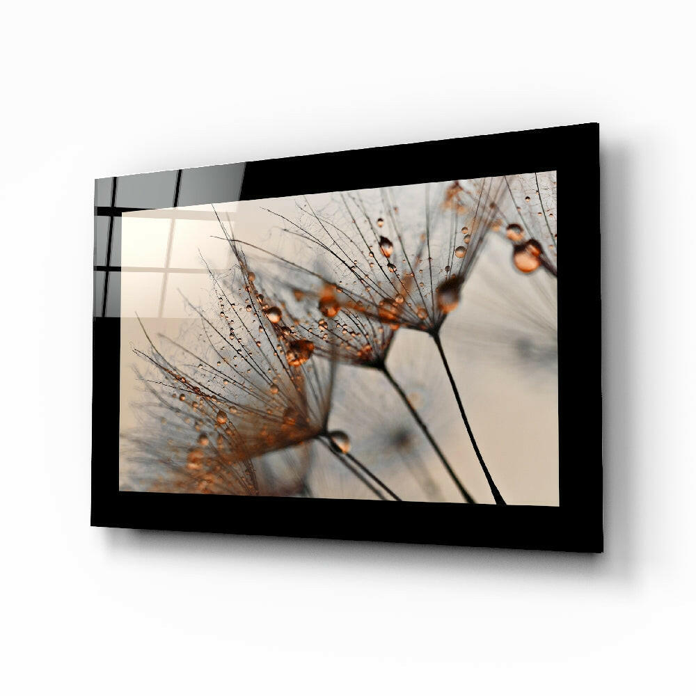 Cinnamon Dandelion Glass Wall Art.