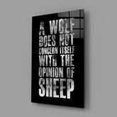 Wolf Opinion of Sheep Quote Glass Wall Art