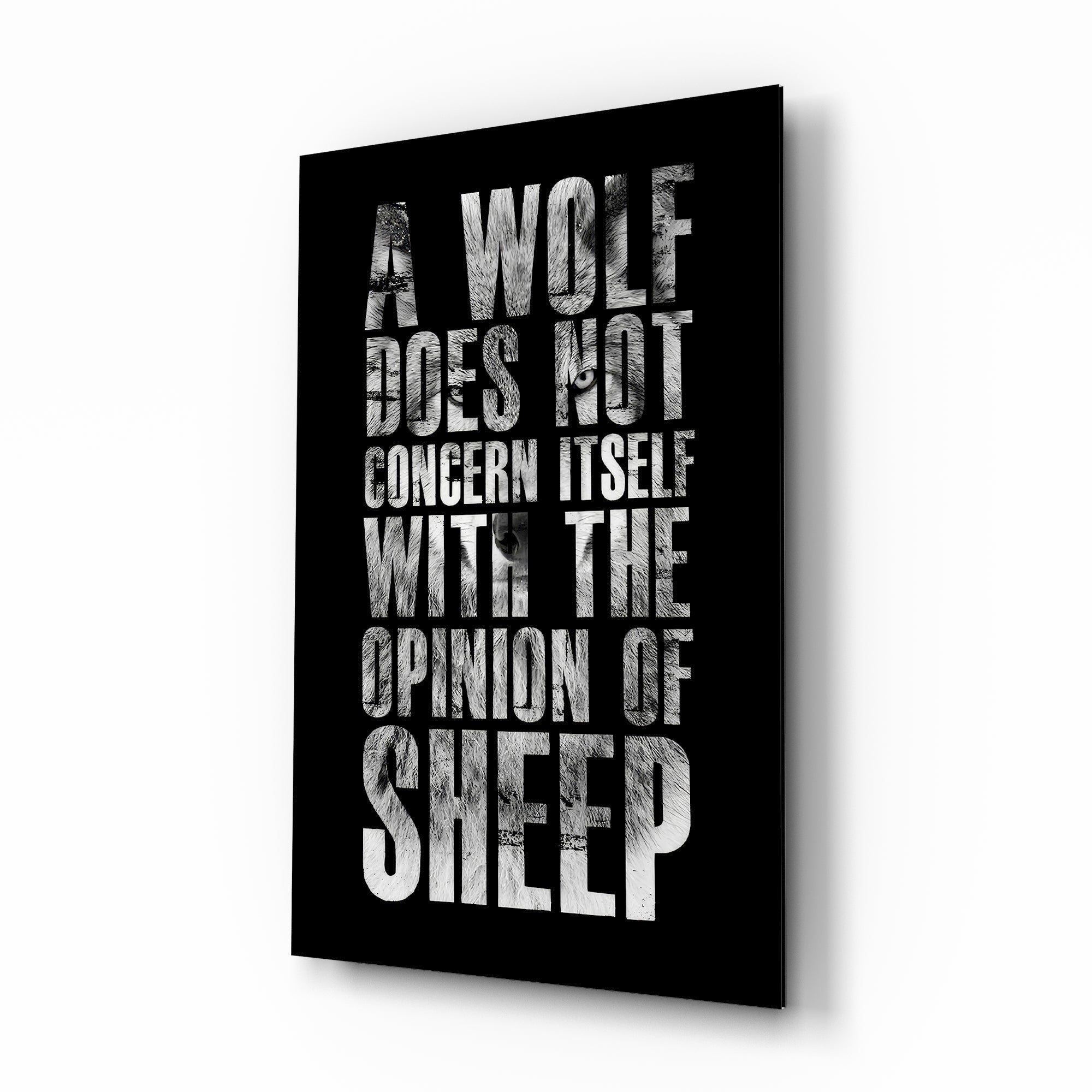 Wolf Opinion of Sheep Quote Glass Wall Art