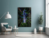 Redwood Canopy Milky Way Night Sky Glass Wall Art