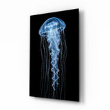 Blue Jellyfish on Black Deep Sea Glass Wall Art