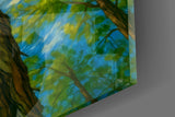 Swirling Sky Treetop Canopy Glass Wall Art