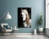 White Horse Flowing Mane Black Backdrop Glass Wall Art