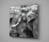 Elephant Glass Wall Art | Insigne Art Design