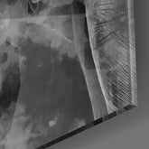 Elephant Glass Wall Art | Insigne Art Design