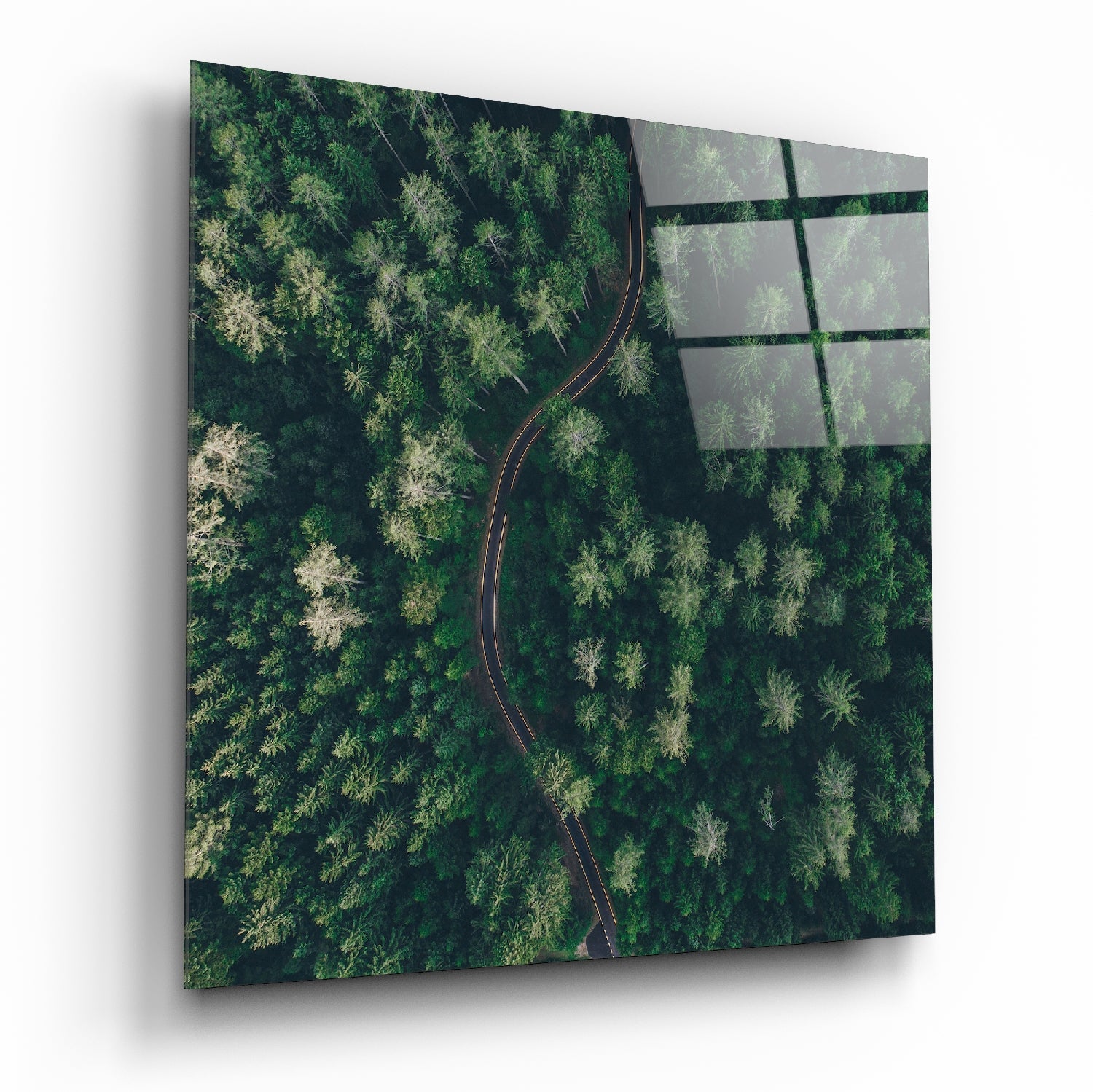 Forest Road Glass Wall Art | Insigne Art Design