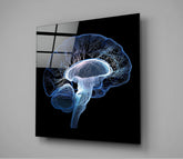 Brain Glass Wall Art | Insigne Art Design