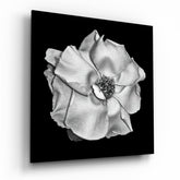 Flower Glass Wall Art | Insigne Art Design