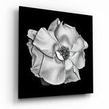 Flower Glass Wall Art | Insigne Art Design