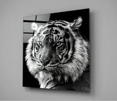 Tiger's Look Glass Wall Art | Insigne Art Design