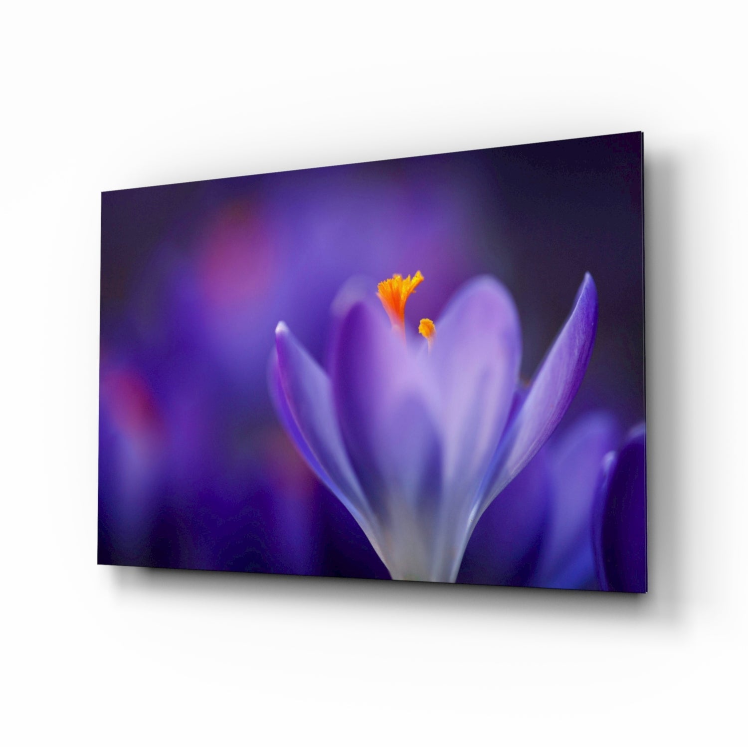 Flower Glass Wall Art.