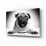 Pug Glass Wall Art.