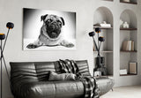 Pug Glass Wall Art.