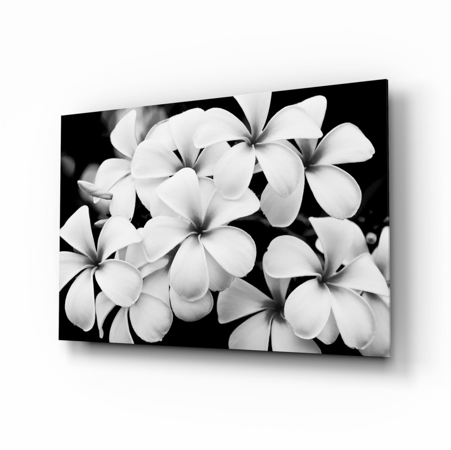 Flower Glass Wall Art.