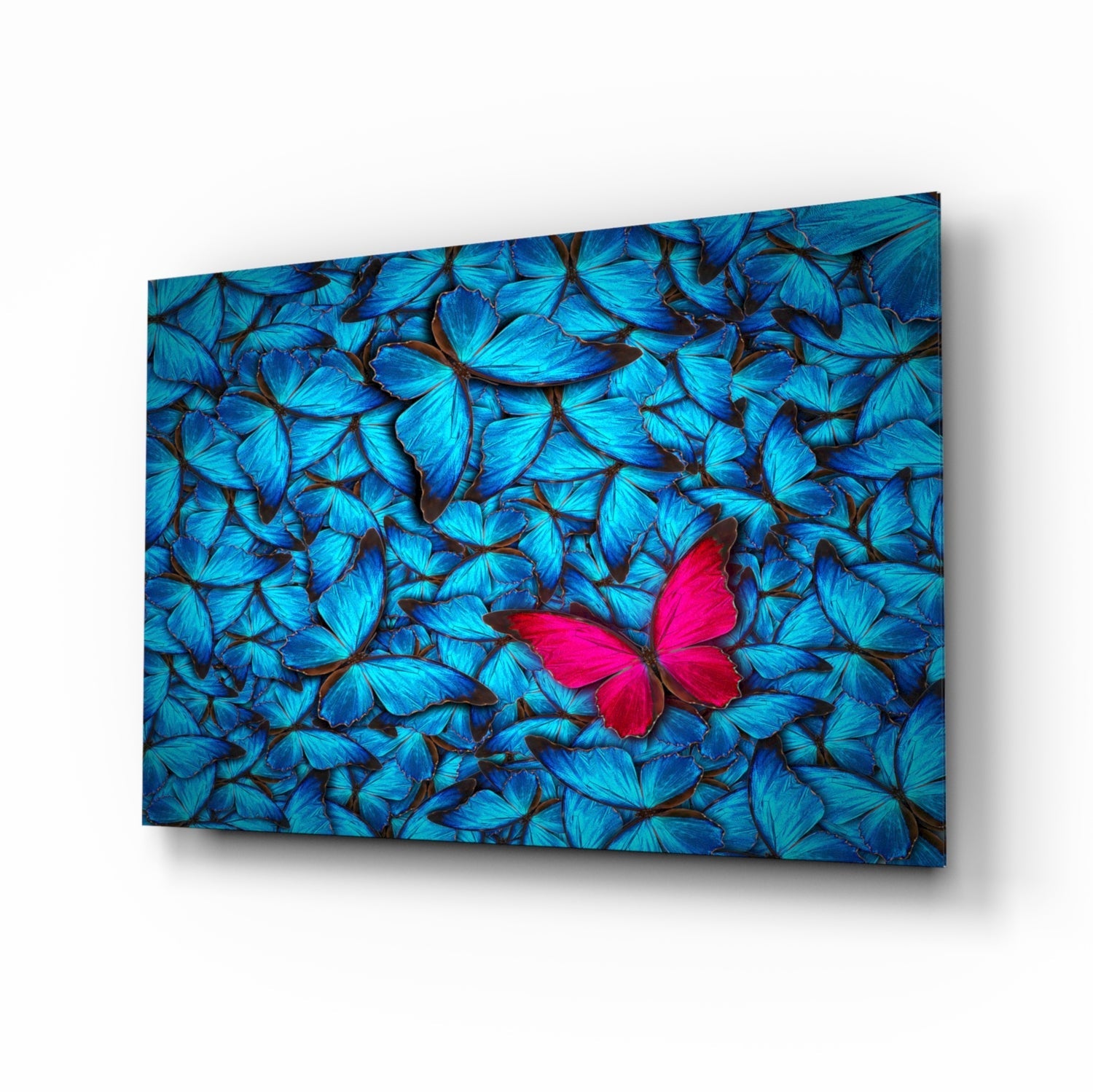 Butterfly Glass Wall Art.