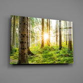 Forest Glass Wall Art.