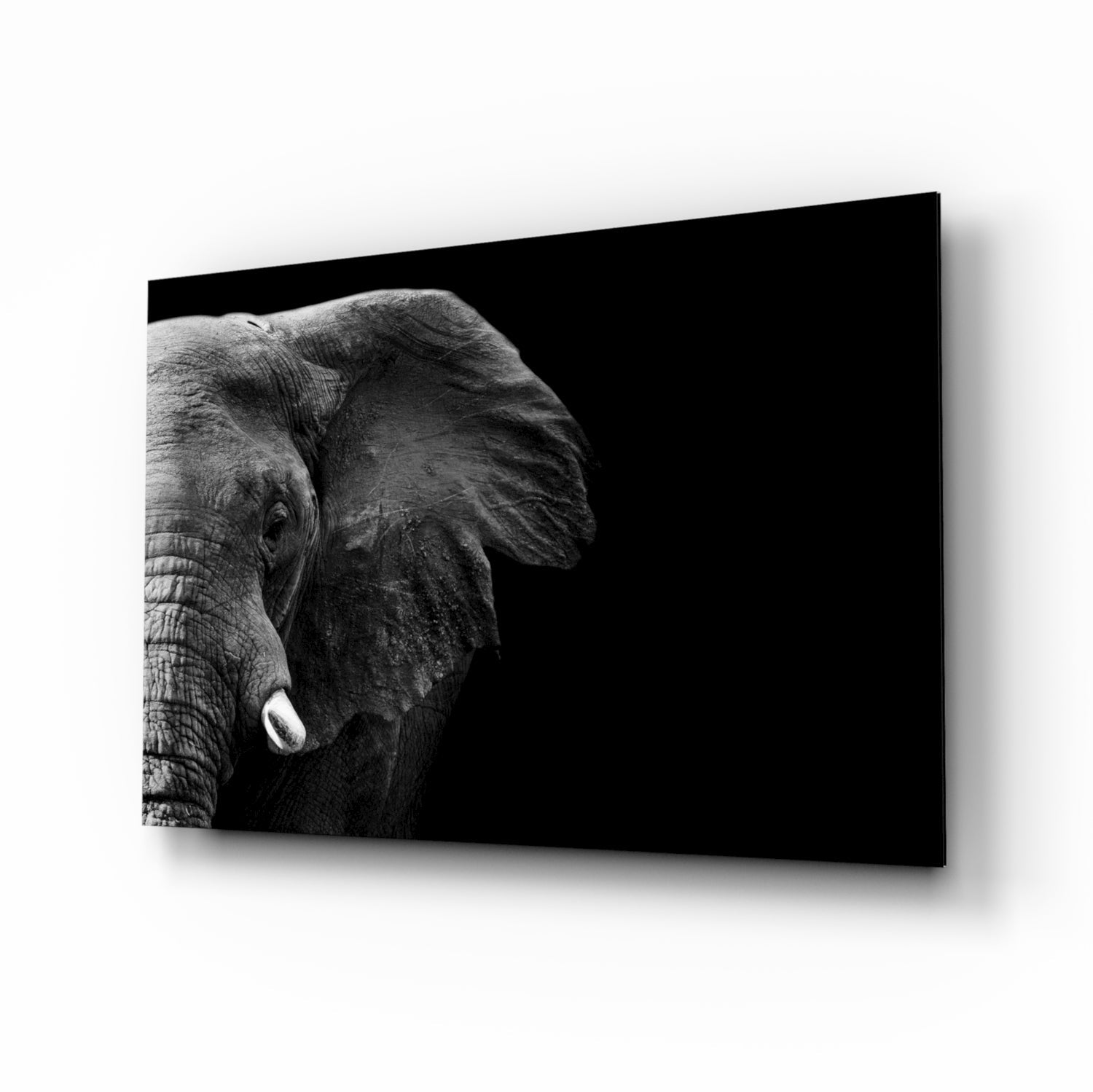 Elephant Glass Wall Art.
