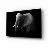 Elephant Glass Wall Art.