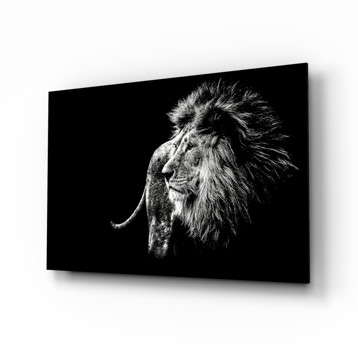 Lion Glass Wall Art.
