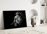 Lion Glass Wall Art.