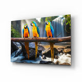 Parrots Glass Wall Art.