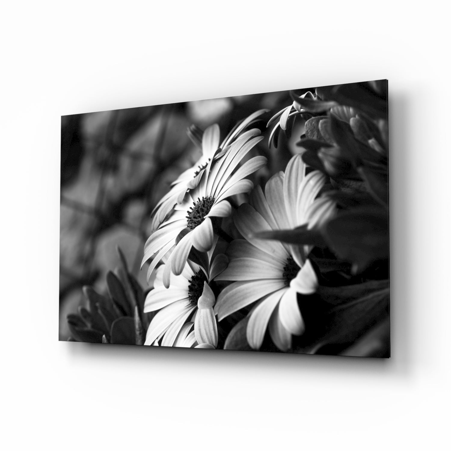 Black - White Flower Glass Wall Art.