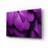 Bird Feathers Glass Wall Art.