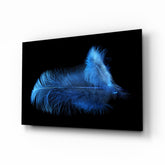 Blue Feather Glass Wall Art.
