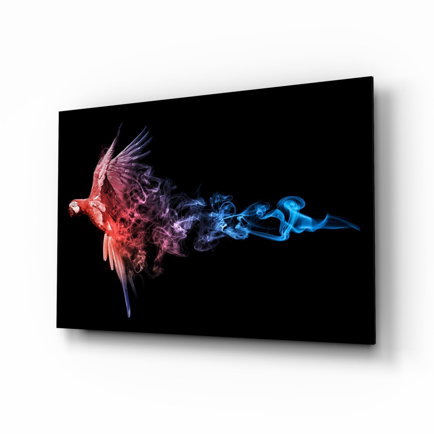 Parrot Glass Wall Art.