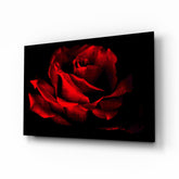 Red Rose Glass Wall Art.