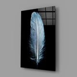 Blue Feather Glass Wall Art.
