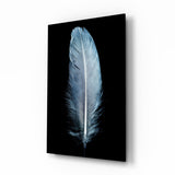 Blue Feather Glass Wall Art.
