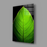 Green Leaf Glass Wall Art.