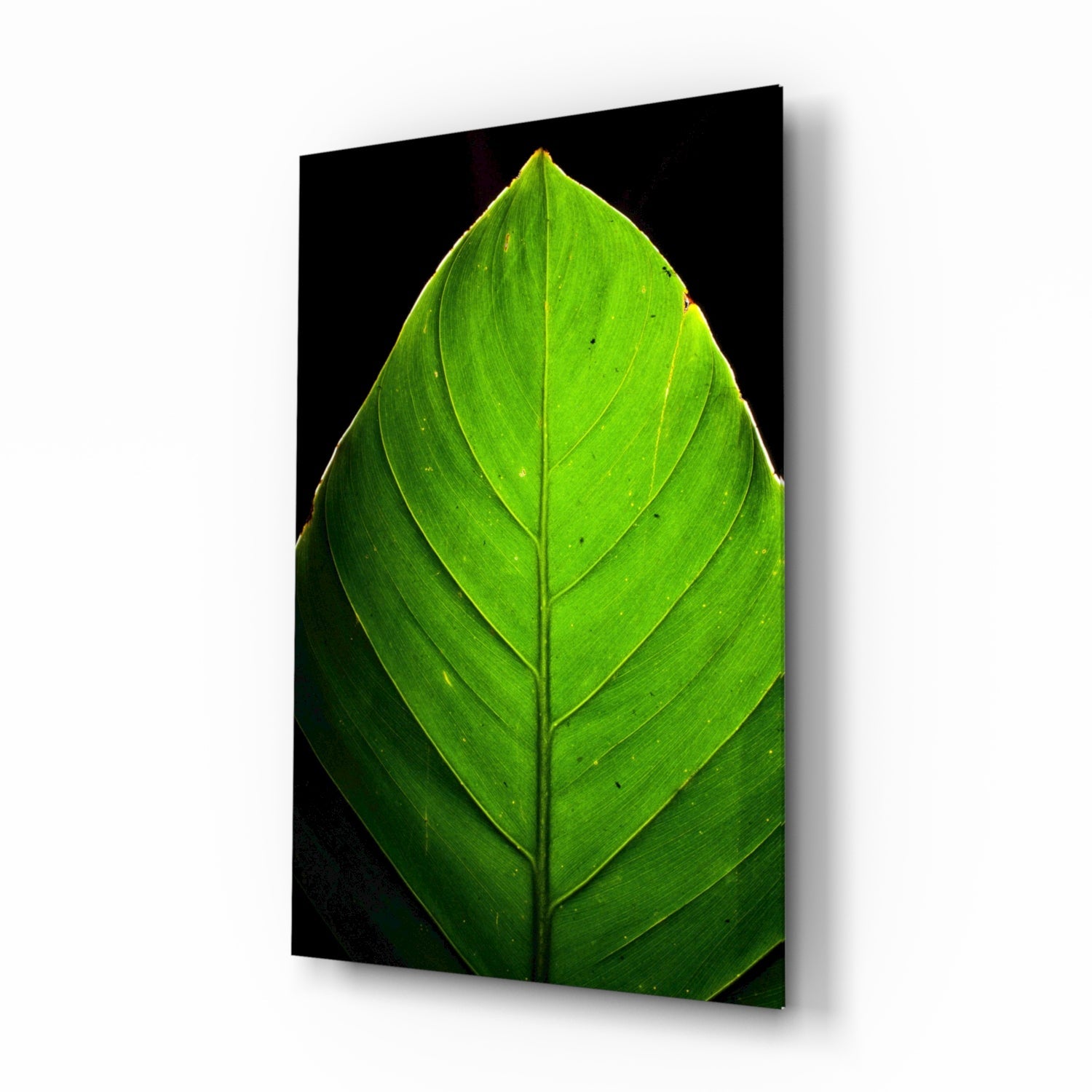 Green Leaf Glass Wall Art.