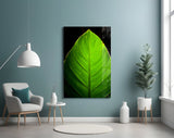 Green Leaf Glass Wall Art.