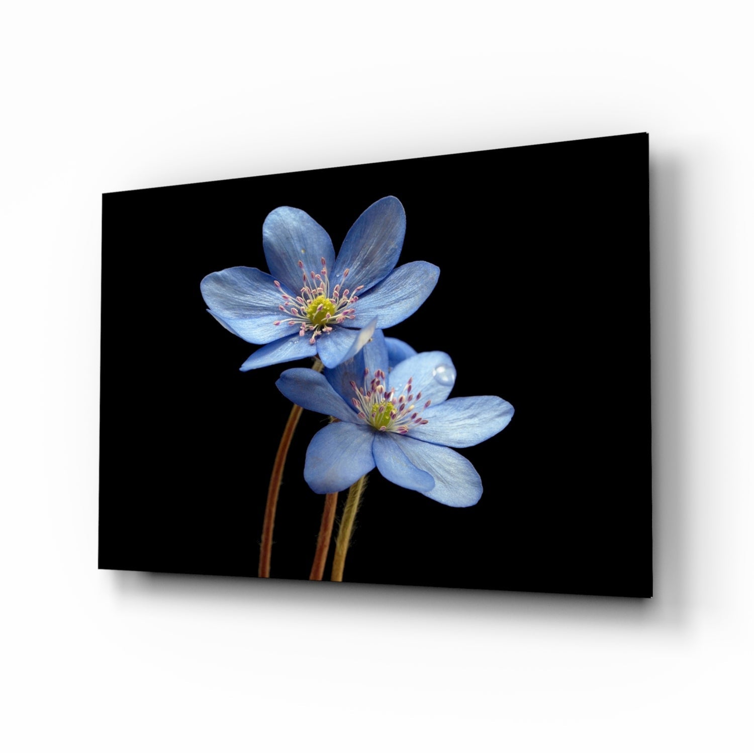 Blue Flower Glass Wall Art.