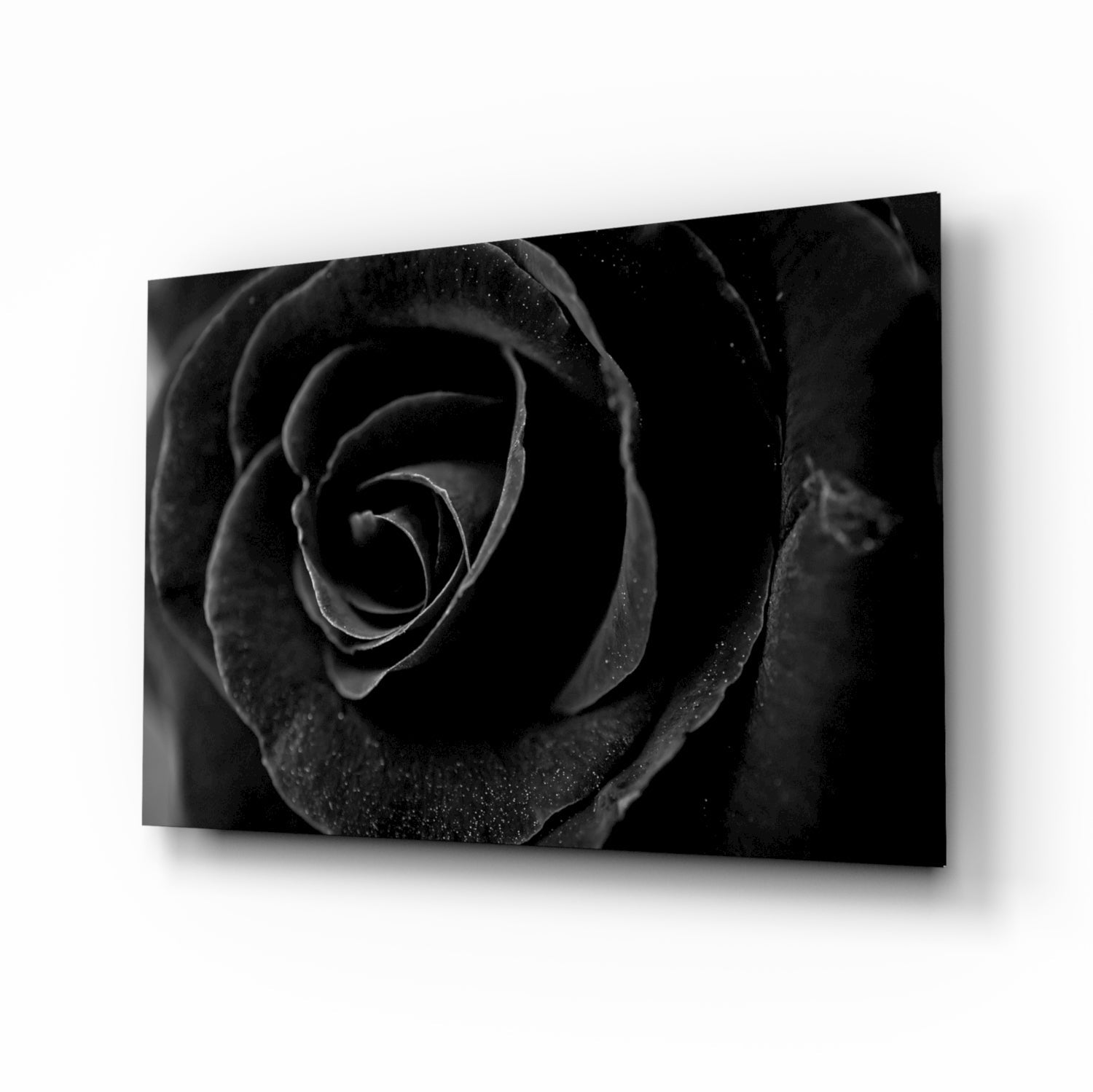 Black Rose Glass Wall Art.