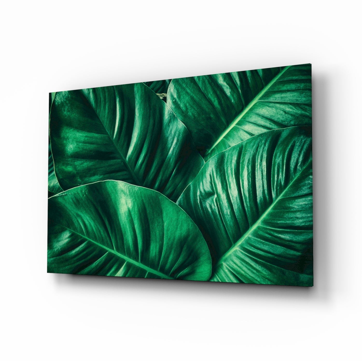 Green Tropical Leaf Glass Wall Art.