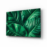 Green Tropical Leaf Glass Wall Art.