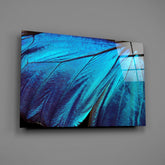Butterfly Wing Glass Wall Art.