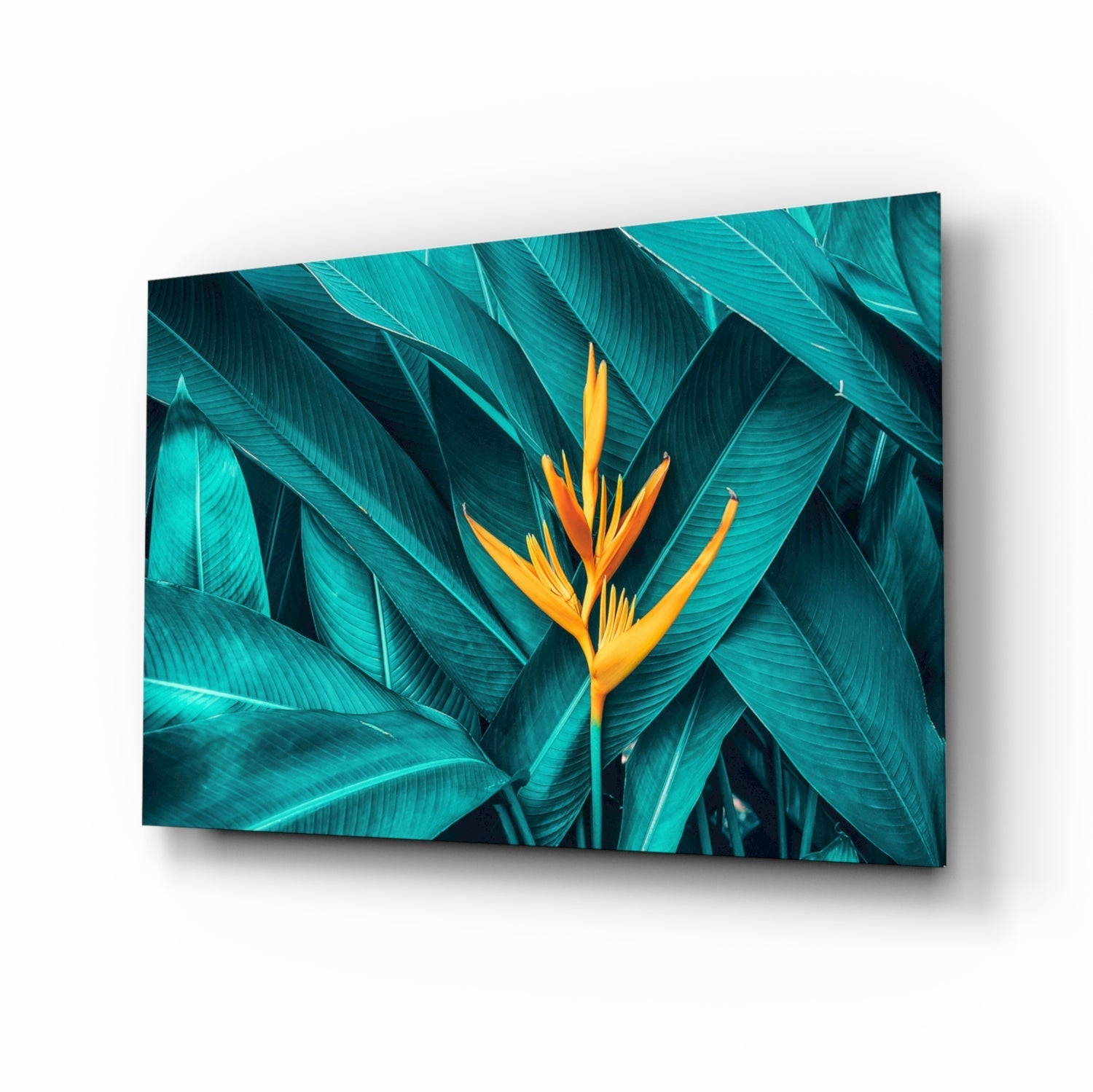 Tropical Leaf 3 Glass Wall Arts.