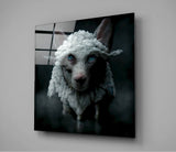 Deception Glass Wall Art || Designers Collection | Insigne Art Design