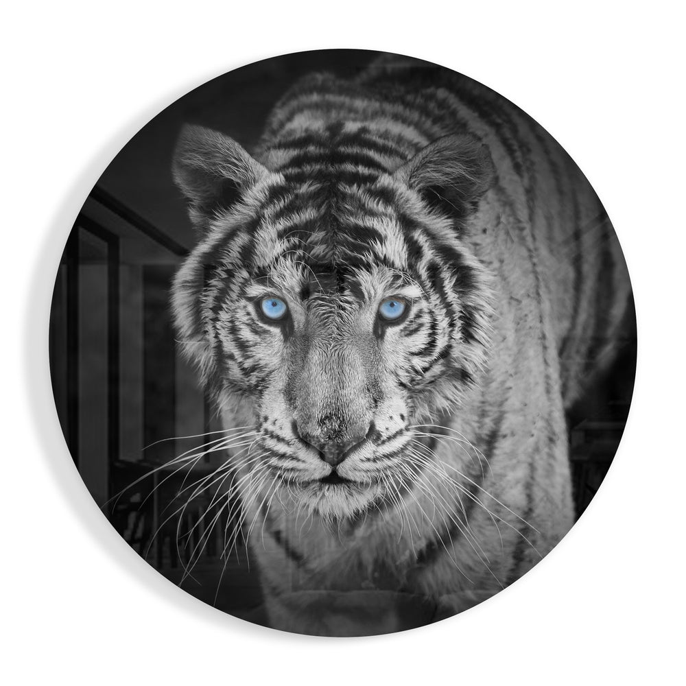 Tiger Glass Wall Art