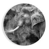 Elephant Glass Wall Art
