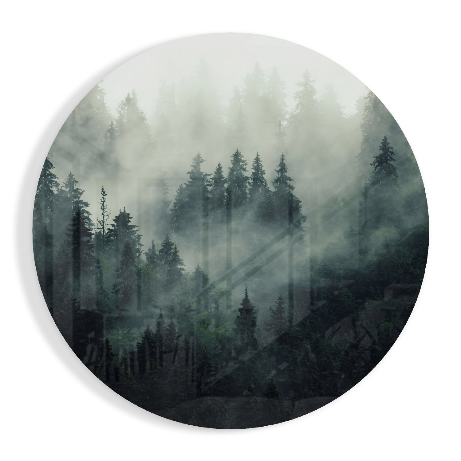 Foggy Forest Glass Wall Art