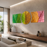Green Gold Red Leaf Vein Macro 3 Piece Glass Wall Art