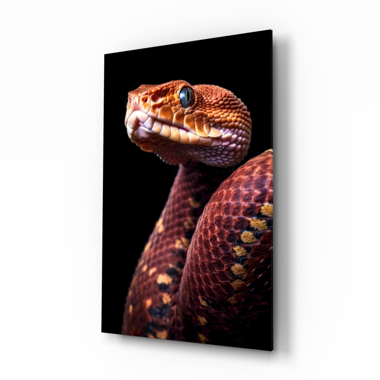 Red Stare Viper Glass Wall Art || Designer Collection