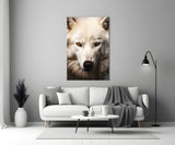 The White Wolf's Gaze Glass Wall Art || Designer Collection