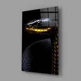 Black and Yellow Viper Glass Wall Art || Designer Collection